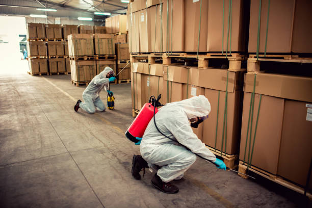 Best Affordable Pest Control Services  in Leo Cedarville, IN