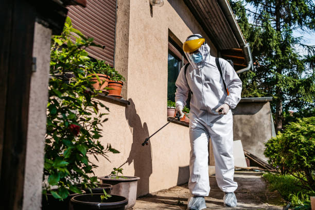 Best Wasp Removal Services  in Leo Cedarville, IN