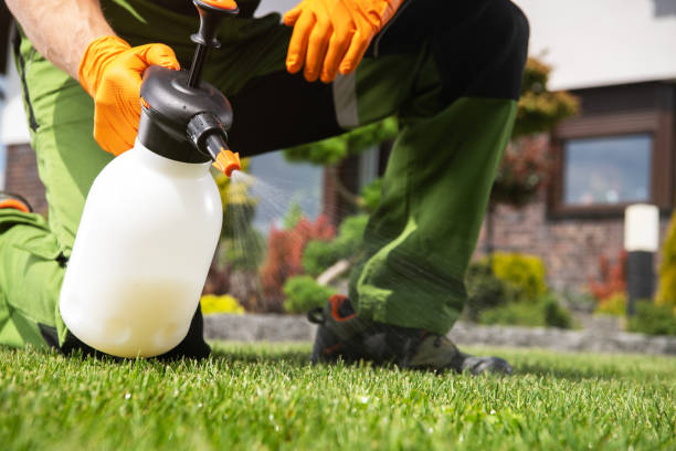 Best Flea Control Services  in Leo Cedarville, IN