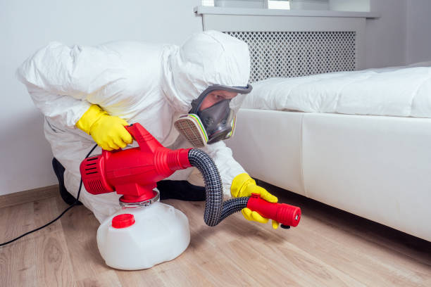 Best Local Pest Control Services  in Leo Cedarville, IN