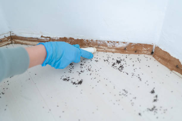 Best Pest Control Near Me  in Leo Cedarville, IN